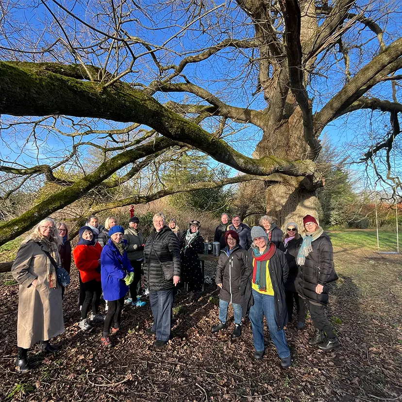 Group Tour gathered in front of tree