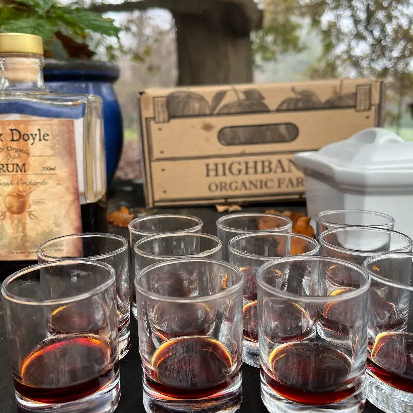 Highball Rum samples laid out on a table